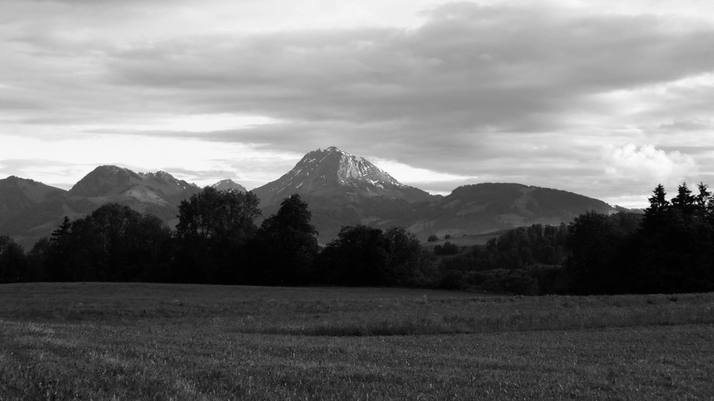 Le Moléson en Gruyère