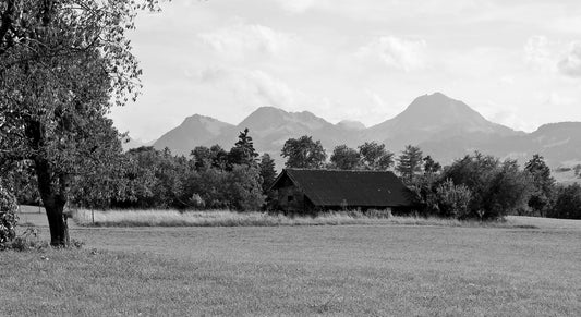 Vue sur le Moléson  en Gruyère