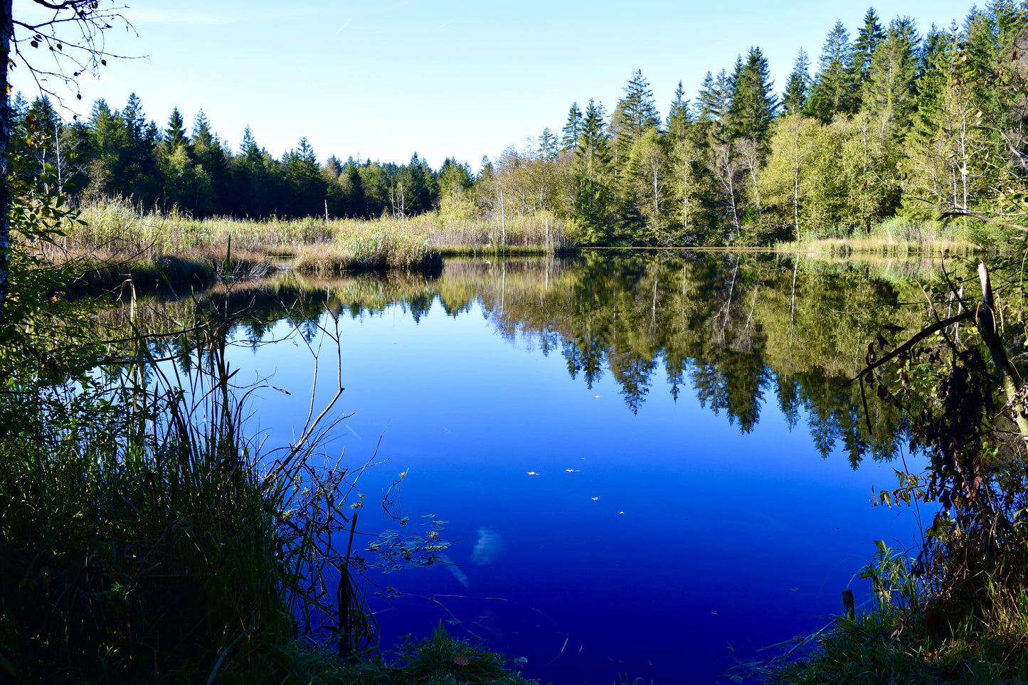 Etang des Bugnons 1